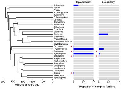 Does haplodiploidy help drive the evolution of insect eusociality?